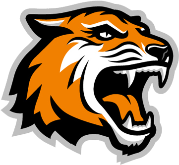 Rochester Institute Of Technology - Rochester Institute Of Technology - Transparent PNG Free Download
