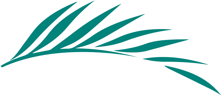 A Dispute Between A Prominent Technology Company And - A Dispute Between A Prominent Technology Company And - Transparent PNG Free Download