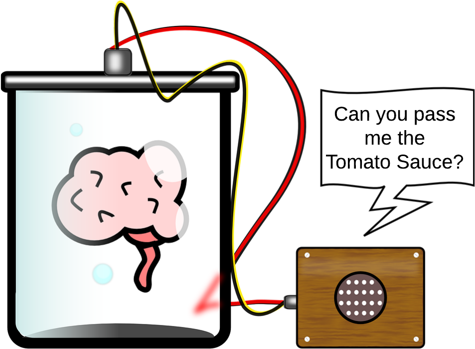 The Science And Technology Session Is An After School - Cerebro Supervivencia - Transparent PNG Free Download