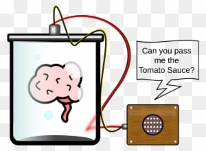 The Science And Technology Session Is An After School - Cerebro Supervivencia - Transparent PNG Free Download