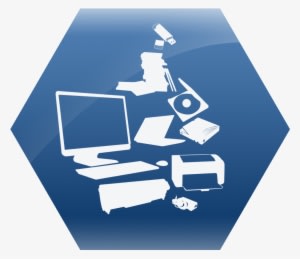 Information Technology Icon Png - Transparent PNG Free Download