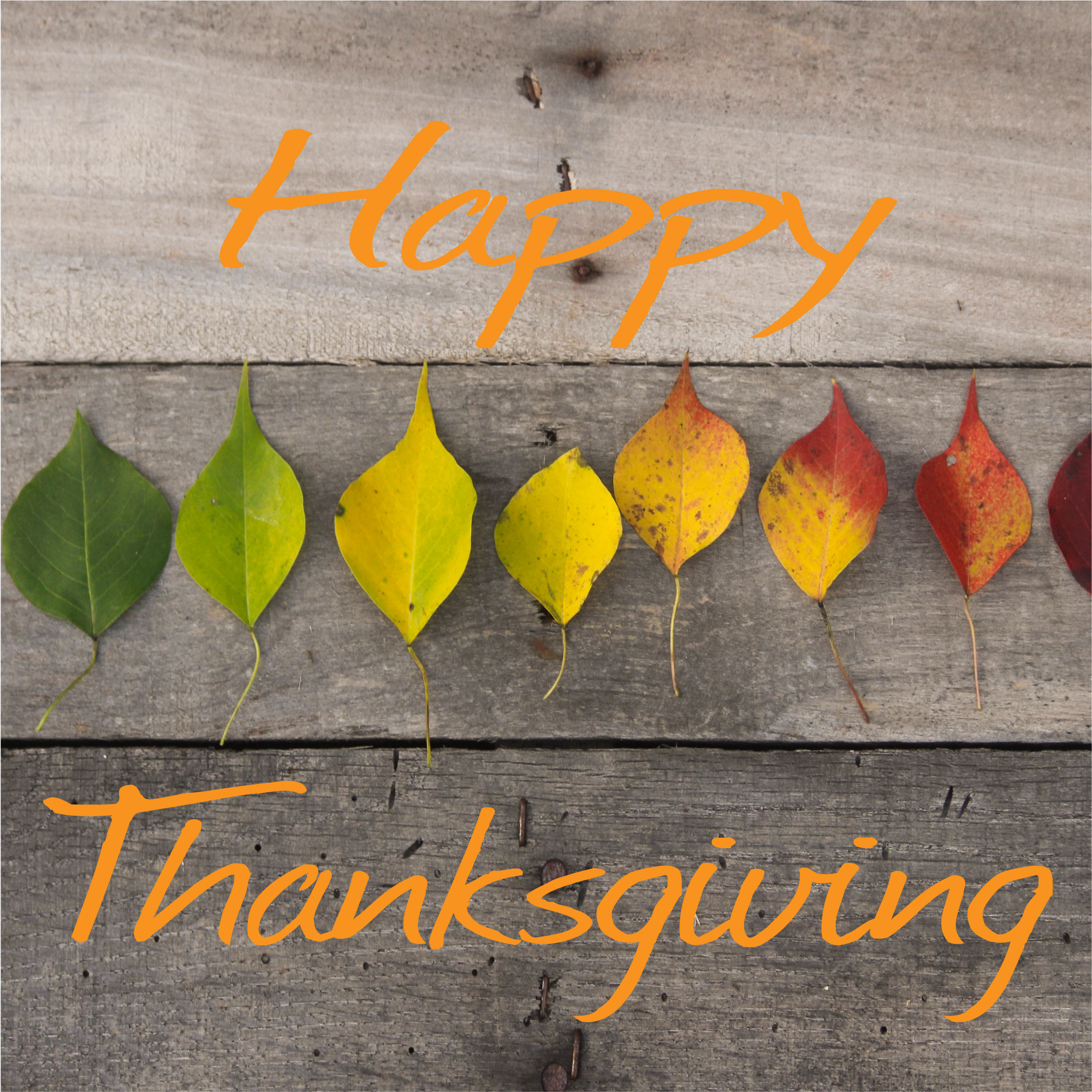 Happy Thanksgiving - Technology - Transparent PNG Free Download