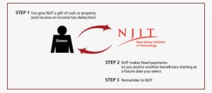 Deferred-payment Charitable Gift Annuity Diagram - New Jersey Institute Of Technology - Transparent PNG Free Download