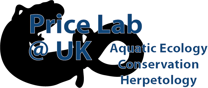 Please Feel Free To Contact Dr - Key Technology, Inc. - Transparent PNG Free Download