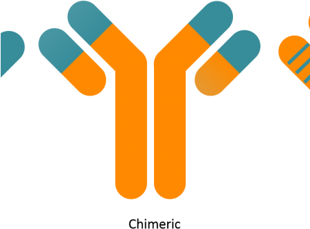 Antibody Humanisation - Gtp Technology - Transparent PNG Free Download