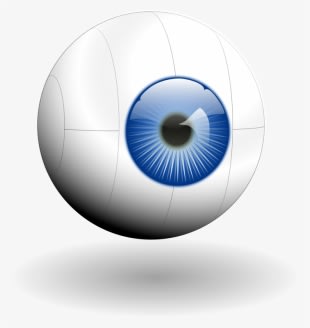 Eye, Computer, Technology, Visualization, Eyes, Visual - Eye Clip Art - Transparent PNG Free Download