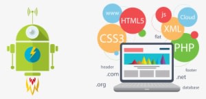 We Use Technologies - Web Development Roadmap For Beginners - Transparent PNG Free Download