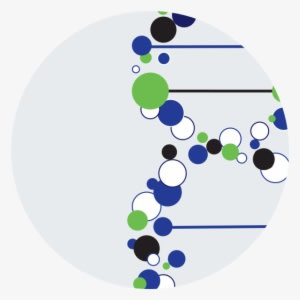 Developments In Gene Therapy Vector Systems And Technologies - Spark Therapeutics - Transparent PNG Free Download