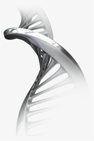 Technologies - Molecular Biotechnology - Transparent PNG Free Download