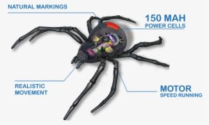 Make This Creepy Crawly The Most Terrifying Pet Enhanced - Робо Паук Черная Вдова Robo Alive Zuru - Transparent PNG Free Download