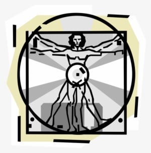 Vector Illustration Of Leonardo Da Vinci's Vitruvian - Biological Treatment Of Generalized Anxiety Disorder - Transparent PNG Free Download