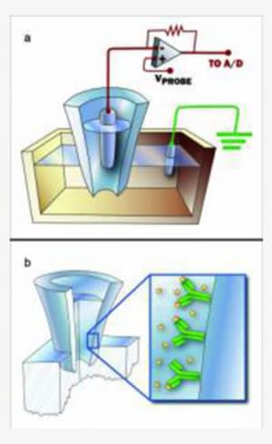 Sting In The World Of Biosensor Technology - Illustration - Transparent PNG Free Download