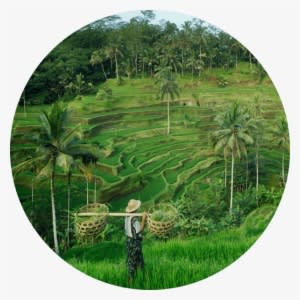 Instead Of Building From Scratch And Duplicating Resources, - Ubud - Transparent PNG Free Download