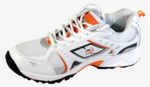 Detailed Feedback From Some Of The Worlds Leading Players - Cross Training Shoe - Transparent PNG Free Download