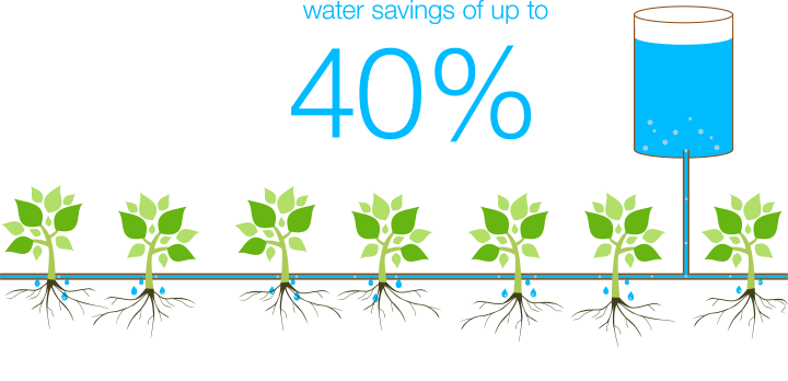 The Vietnamese Government Supports The Implementation - Graphic Design - Transparent PNG Free Download