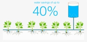 The Vietnamese Government Supports The Implementation - Graphic Design - Transparent PNG Free Download