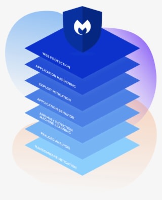 Malwarebytes Logo Stacked On Top Of The Seven Technology - Graphic Design - Transparent PNG Free Download