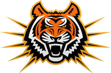 Scoring Summary, Idst, Usu - Idaho State Bengals Football - Transparent PNG Free Download