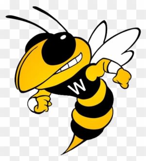 Large 545px × 600px - Georgia Tech Yellow Jackets Football - Transparent PNG Free Download