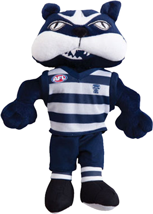 Youth Football Player Png Download - Geelong Football Club - Transparent PNG Free Download