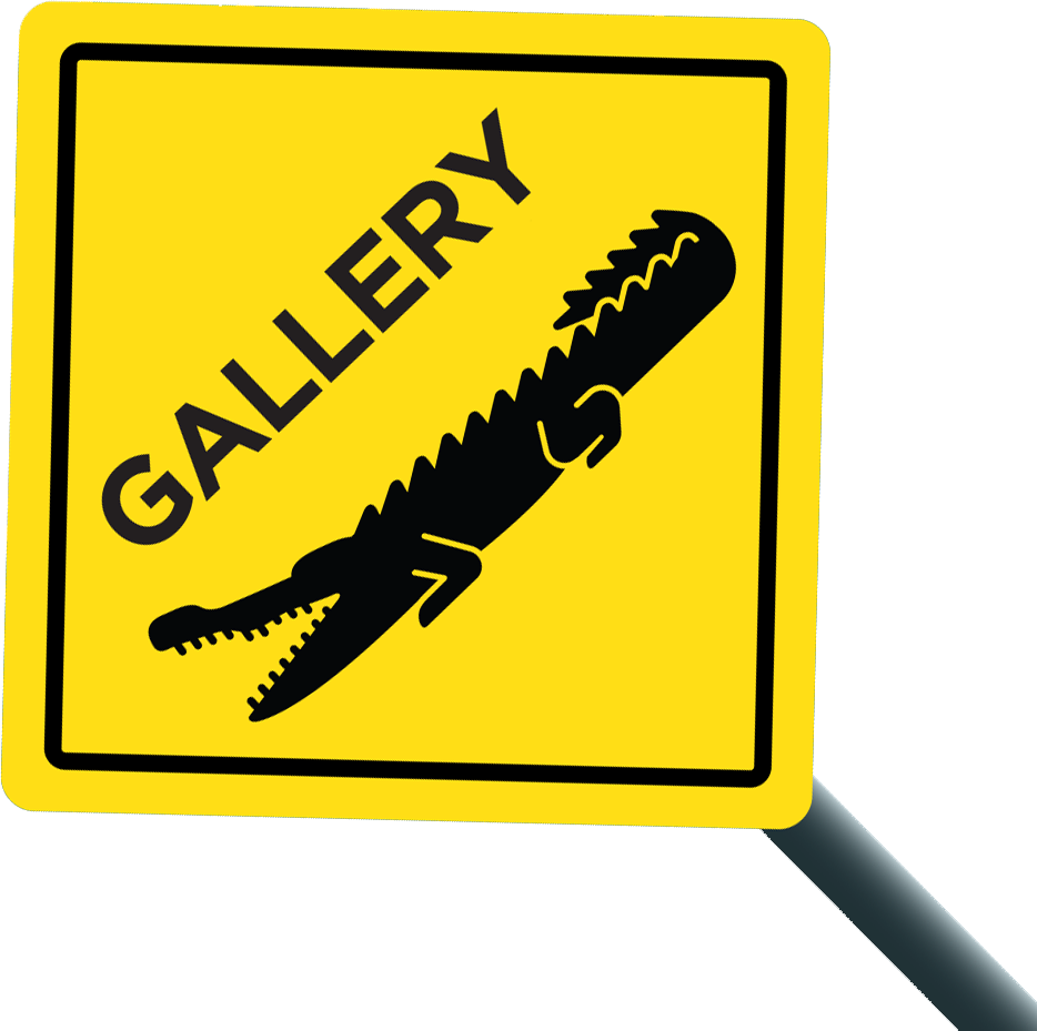 Snapping Tours Wild Saltwater Crocodiles River Tour, - Football - Transparent PNG Free Download
