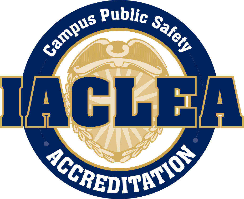 The Department Is Responsive To The Special Needs Of - Lamar Vikings Football - Transparent PNG Free Download