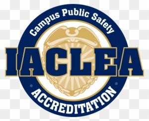 The Department Is Responsive To The Special Needs Of - Lamar Vikings Football - Transparent PNG Free Download