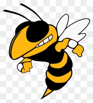 Buzz - Georgia Tech Yellow Jackets Football - Transparent PNG Free Download