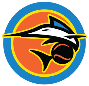 From Fish Stripes - Notre Dame Fighting Irish Football - Transparent PNG Free Download