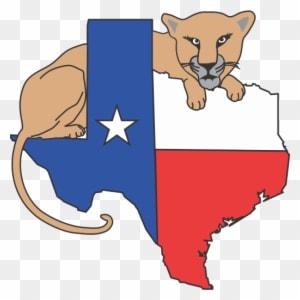 939-9788 - Texas High School Football Playoffs - Transparent PNG Free Download