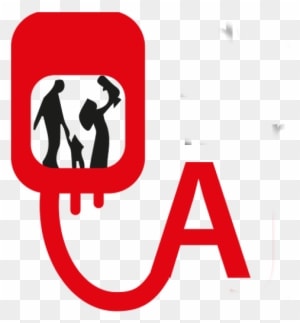 Brazil National Football Team - Transparent PNG Free Download