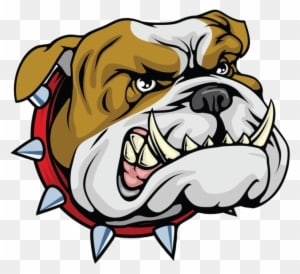 Bulldog Cartoonbulldog Mascotcartoon - Bulldog Football Vector - Transparent PNG Free Download