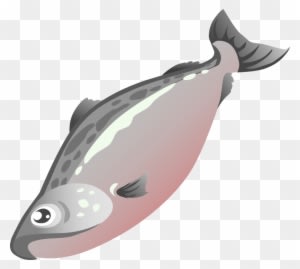 Medium Image - Salmon Fish Clipart - Transparent PNG Free Download