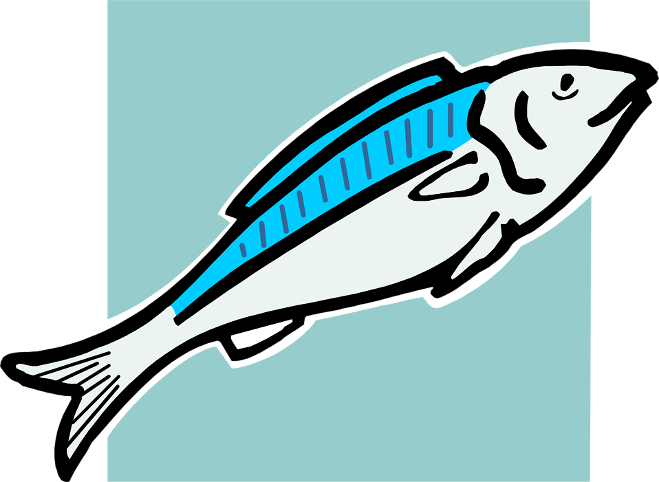 Bass Fish Clip Art Cliparts - Fish Food Clip Art - Transparent PNG Free Download