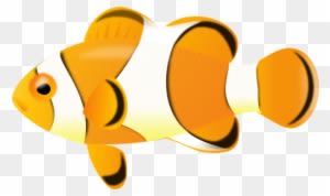Clown Fish 001 1 - Clown Fish No Background - Transparent PNG Free Download