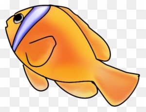 Clownfish Fish Clip Art - Fish Swimming Up Clipart - Transparent PNG Free Download