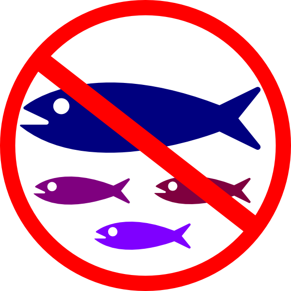 No Fish - Transparent PNG Free Download