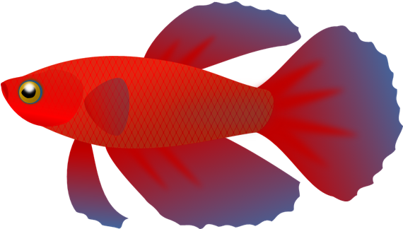 No Fish Cliparts Free Download Clip Art Free Clip Art - Fish Clip Art Transparent Background - Transparent PNG Free Download