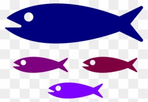 Small Medium Large Fish - Transparent PNG Free Download