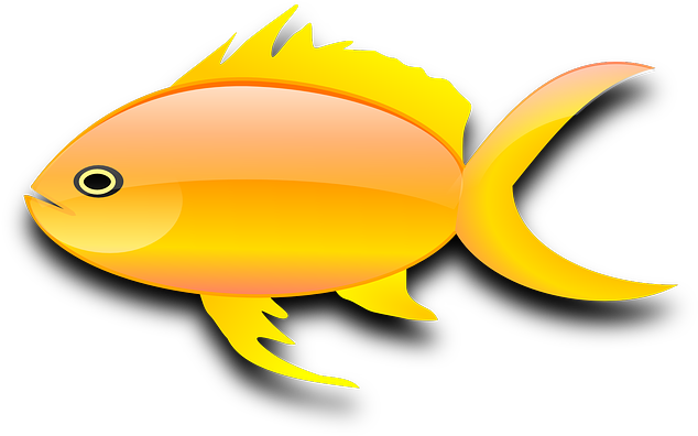 Goldfish Gold Fish Clip Art Black And White Free Clipart - Gold Fish Clip Art - Transparent PNG Free Download