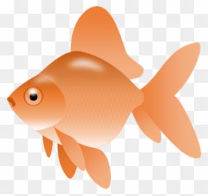 Smartness Gold Fish Clip Art Image Of Goldfish Clipart - Fish Clip Art Png Transparent - Transparent PNG Free Download