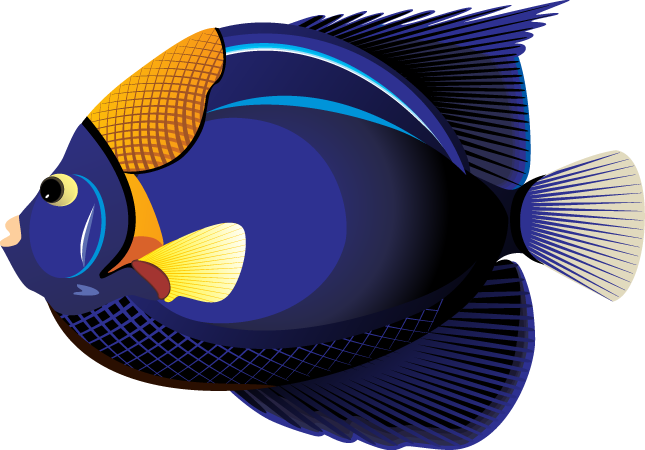 Clipart Fish - Tropical Fish Clip Art - Transparent PNG Free Download