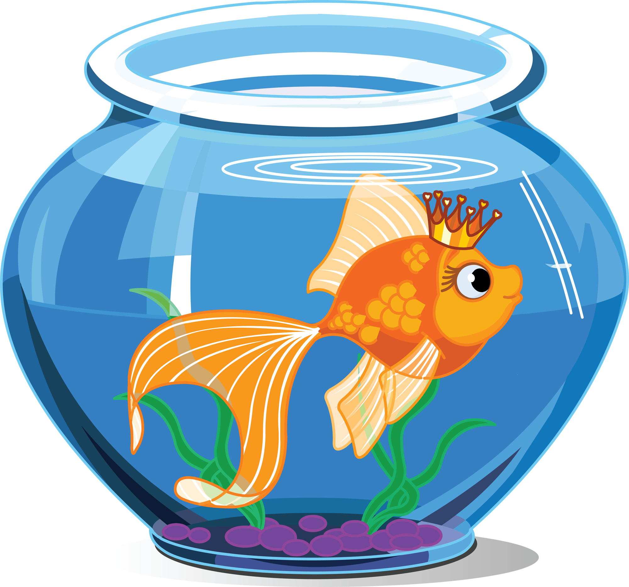 Fish Inside The Aquarium - Transparent PNG Free Download