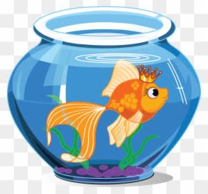 Fish Inside The Aquarium - Transparent PNG Free Download