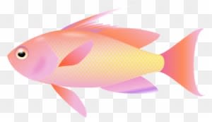 Graphics For Fishing Clip Art Transparent Background - Fish Clipart Transparent Background - Transparent PNG Free Download