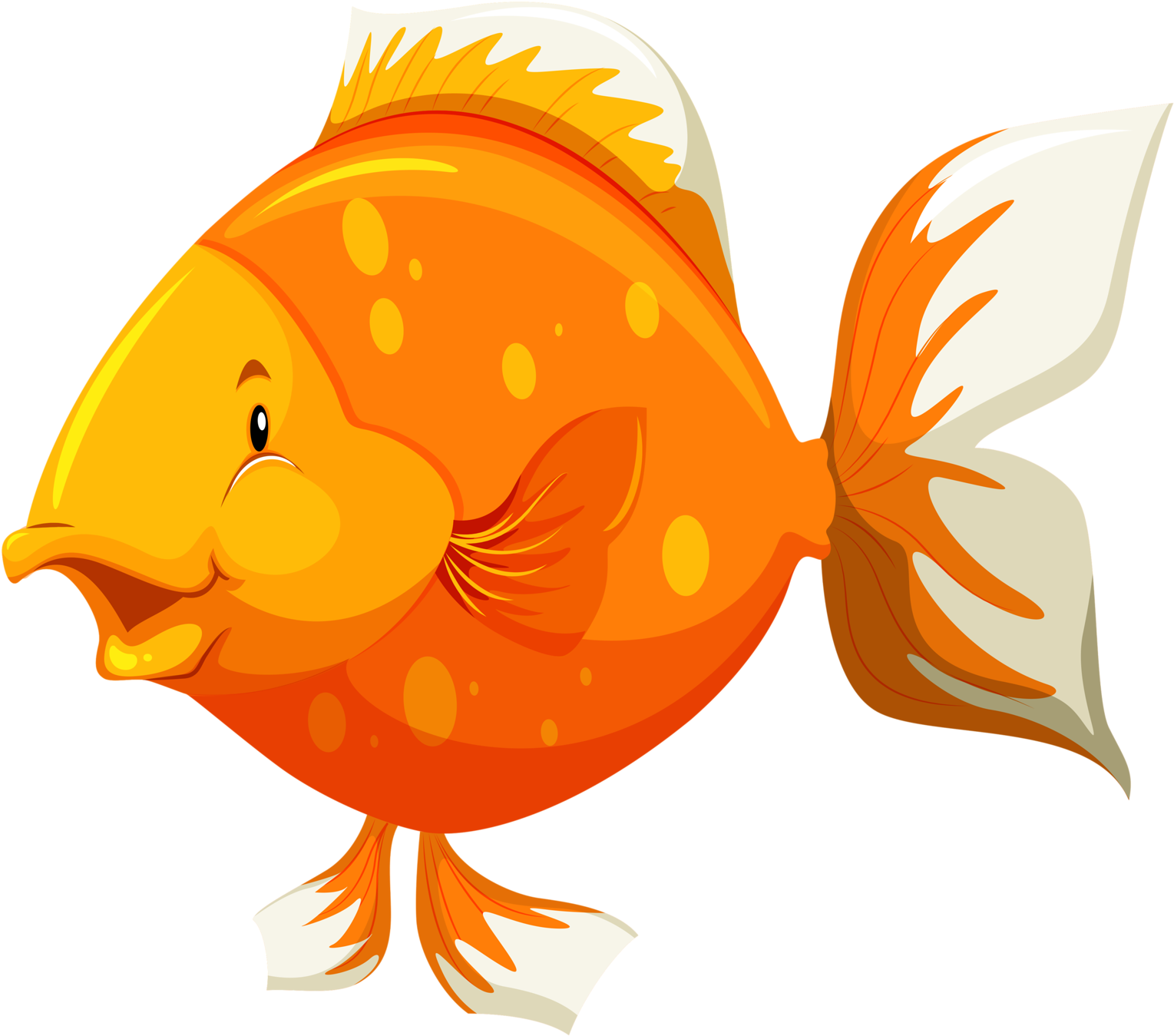 Яндекс - Фотки - Parts Of Fish - Transparent PNG Free Download