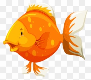 Яндекс - Фотки - Parts Of Fish - Transparent PNG Free Download