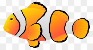 Blog De L'ile De Kahlan - Tropical Fish - Transparent PNG Free Download