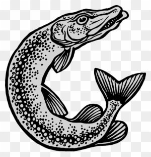 Fish And Fishing Equipment - Transparent PNG Free Download