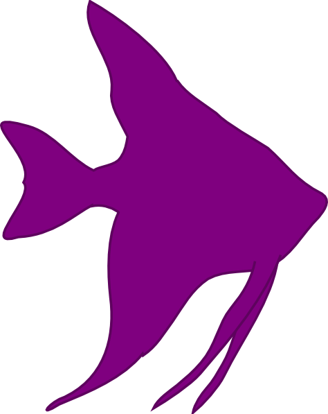 Angelfish Clipart Pink Fish - Cartoon Angel Fish Clipart - Transparent PNG Free Download